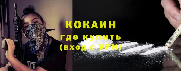 ешки Арсеньев